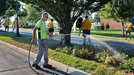 A man watering colorful flowers using a green hose.